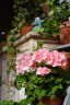 腾龙（Tamron）A063 28-75mm F2.8 G2二代微单镜头大光圈标准变焦镜头2875全画幅E卡口 Z卡口 索尼E卡口 官方标配（送腾龙UV+高档清洁套） 实拍图