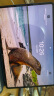 华为（HUAWEI）MateBook E 12.6英寸 二合一 平板 笔记本电脑 商务办公 便携轻薄 学生 网课学习 星际蓝 i5 16G 512G+原装键盘 Win11 Office 官方标配 晒单实拍图