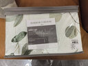 Harbor House全棉贡缎四件套美式纯棉环保活性印花家纺床单被套床品套件Arbor Arbor-300T全棉贡缎 1.8米床 床单款 （被套220*240cm） 实拍图