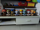 汪汪队立大功（PAW PATROL）汪汪队玩具毛绒全套狗狗玩偶公仔男女孩玩具旺旺队新年礼物 经典款-珠珠公仔【需选尺寸】 小号-坐高约15.2CM 实拍图