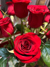 京东鲜花 单头玫瑰 红色系 10枝 实拍图