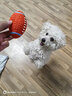 宜特（EETOYS）狗狗发声玩具小中大型犬磨牙换牙室内互动户外训练宠物玩具球 【小型犬推荐】小号发声橄榄球 实拍图