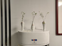 艺馨维尼景德镇陶瓷花瓶创意摆件手绘荷花白瓷瓶观音玉净瓶简约水培插花器 玉静瓶 实拍图