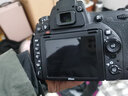 Nikon尼康D610/D700/D750/D810单机高端专业数码全画幅二手单反相机D800套机 9新D750单机身 官方标配 实拍图