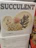 喜香随自制香薰蜡烛DIY材料包创意多肉仙人掌幼儿活动公司团建活动礼物 美杏锦-菠萝（多肉款） 实拍图