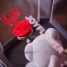 JoyFlower永生玫瑰花戒指熊礼盒儿童节生日礼物女毕业季送女生朋友同学实用 实拍图