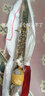 御春阁小叶紫檀树苗黑骨茶室内阳台盆栽花卉绿植耐寒四季常青微景观桩形 3根25厘米高左右 实拍图