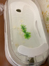 最萌乌龟缸家用造景创意新款亚克力带晒台生态小型龟盆鱼缸乌龟饲养缸 大号【49.5*26*15】套餐二 实拍图
