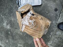 得力（deli）网线钳网线探测仪电话线网络通断检测仪水晶头压线钳网网络钳套装 DL8401_网络测线仪+网络钳DL2468 实拍图