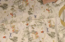 欧孕（OUYUN）婴儿连体衣宝宝秋装衣服纯棉长袖空调服四季哈衣爬服男女睡衣 小红帽记【不含帽子发饰】 100cm 【建议身高91-105cm】 实拍图