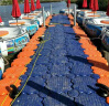 水上塑料浮筒垂钓平台浮动码头海上浮桥钓鱼水上游泳池摩托艇泊位 蓝色单个（不含运） 晒单实拍图