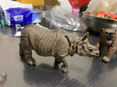 思乐（Schleich S）仿真野生动物模型袋鼠河马犀牛小熊猫灰熊猩猩儿童玩具生日礼物3+ 铁甲犀牛14816 实拍图