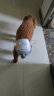 HONEYCARE狗狗纸尿裤大型母狗生理裤卫生巾月经裤S适用体重2-5kg12片3包装  晒单实拍图
