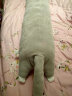 捉趣（ZHUOQU）猫咪抱枕公仔毛绒玩具长条布娃娃玩偶睡觉夹腿大号女孩女生日礼物 晒单实拍图