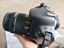 佳能/Canon 100D 200d 200D二代 R50 700D 80D 二手单反相机4K高清 佳能200D 18-55 IS STM黑色套机 95新 实拍图