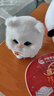 亦趣仿真猫玩偶会叫小猫咪毛绒玩具摆件可爱猫咪公仔儿童生日新年礼物 纯白会叫猫咪+铃铛 实拍图