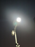 中盏 JD5050PD led路灯头小区路灯户外道路灯庭院路灯新农村广场照明接电220V足50W灯头普瑞芯片照约100㎡ 实拍图