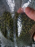 金龙鱼 绿豆 东北绿豆1kg 杂粮（可发豆芽 打豆浆 煮绿豆汤  真空装） 晒单实拍图
