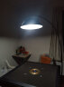 古普（Gupu） 钓鱼落地灯北欧现代极简轻奢创意客厅卧室沙发灯 中号+18瓦三色变光 晒单实拍图