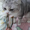 雅礼颂宠物猫咪零食多春鱼淡水满籽小鱼虾冻干幼猫磨牙营养增肥 【满籽款约20~30条】100g 实拍图