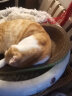 超大猫窝猫抓板一体耐磨不易掉屑猫咪窝磨爪耐抓保护沙发防猫抓圆形猫爪盆猫玩具 小号（适合7斤小猫）椭圆43*26 实拍图