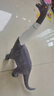赟娅儿童大号霸王龙大型软胶恐龙玩具男孩仿真超大发声模型生日礼物 加大号腕龙 实拍图
