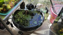 淘歌乌龟加热棒石英玻璃款25W小型迷你低水位16cm鱼缸龟缸加热器 晒单实拍图
