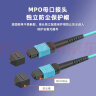 EB-LINK 光纤跳线工程电信级5米MPO-MPO母头多模8芯OM4集束40G/100G光模块MTP跳纤 晒单实拍图