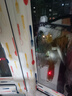 首力窗户玻璃自粘吸水防冷凝水蒸气贴防霉胶带 红色餐具【2.8米一卷】2卷装 实拍图