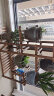 安尔雅松木花架子客厅阳台多肉植物多层组装花台现代简约置物架花摆架 实拍图