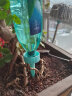 花沃里滴水器2只不含瓶 渗水器自动浇花器可调速滴灌懒人种菜浇水神器 实拍图