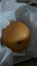 京鲜生 青青大地莱阳羊脂秋月梨4.5斤 6-9个梨子礼盒 水果 晒单实拍图