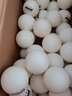 萨达品正乒乓球三星级比赛训练专用球多40+新料白色乒乓球有缝黄耐打 萨达乒乓球-三星50个装-白色 实拍图