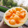 哈密瓜9斤新疆当季新鲜水果一整箱现货现摘蜜瓜脆甜香瓜西州T网纹 9斤 实拍图