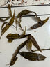 参庆堂 防己100g 无硫新货防己 防己片 药食同源倪海厦黄芪汤 实拍图