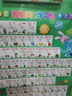 逸星熊新版英标卡初中学生英语音标学习卡学习机发音卡片48张个小学挂图 音标卡(小号)+音标有声挂图 晒单实拍图