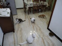 奥丁（ODIN）猫粮 成猫专用美短英短蓝猫暹罗猫 鱼肉味天然猫粮10kg20斤 实拍图