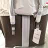 蔻驰（COACH）【品牌直供】女包MOLLIE25通勤托特包 CV966石灰 生日礼物送女友 实拍图