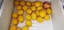 探味君 四川黄柠檬 产地直发 莫吉托 新鲜柠檬水果 带箱 60g-180g单果（30个装） 实拍图