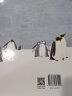 【信谊】帝企鹅（3-8岁）信谊图画书奖 科普类童书绘本 实拍图