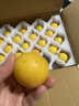 梦宛怡辽宁鞍山特产南果梨东北当季酒香水梨子现摘新鲜酥脆南国梨水果 带箱2斤中大果尝鲜装 精品果 实拍图