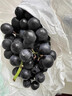 云南夏黑葡萄新鲜2024应当季无籽葡萄黑加仑提子孕妇水果整箱 5斤(单果10g+) 实拍图