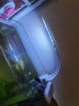俪鱼鱼缸迷你超薄LED水草照明夹灯 24颗灯珠 蓝白光 10W节能线长120cm 白色夹灯（10W，24灯珠） 晒单实拍图