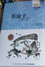 草房子/百年百部经典书系 小学5-6年级阅读拓展书目暑假作业 一升二暑假衔接 小升初暑假衔接 实拍图