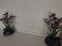 高档蕙兰仿真花假花带花瓶套装摆件家居客厅电视柜餐桌前台装饰花 黑瓶+暗夜紫色套装 实拍图