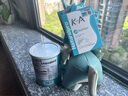 纽贝乐新西兰进口A4乳铁蛋白粉免疫球蛋白乳铁蛋白可换购婴幼儿宝宝米粉 【共发33袋】A4乳铁赠3条+清伙葆 实拍图
