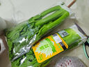 绿食者 新鲜水果西芹250g左右 荷兰清芹 榨汁生吃新鲜蔬菜清甜爽口 实拍图