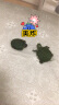 易萌 黄金巴西龟活物炫彩龟小乌龟活体宠物龟半水龟招财龟草龟 2-3厘米两只 晒单实拍图