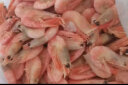 禧美海产加拿大熟冻北极甜虾 500g/袋 65-85只 (MSC认证) 即食 生鲜 海鲜 实拍图