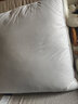 COZY EARTH出口欧美羽绒靠垫抱枕鹅鸭绒腰枕客厅卧室床头沙发大靠背正方枕芯 60*60（单个装） 实拍图